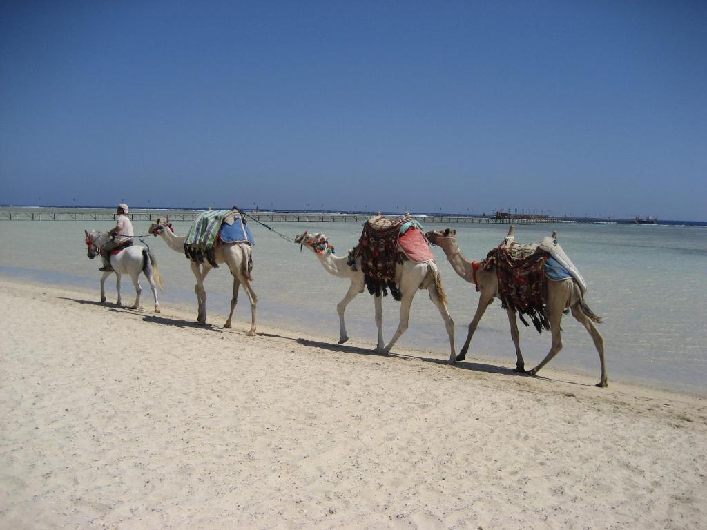 Bliss Abo Nawas Resort Marsa Alam ภายนอก รูปภาพ